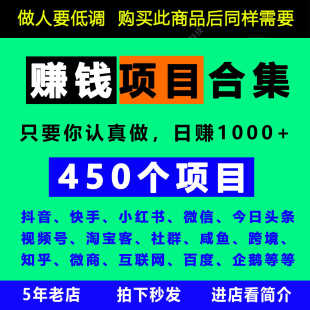 2024网络副业450个赚钱项目思路玩法课程创业知识付费项目信息差