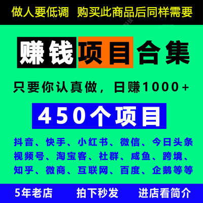 2025网络副业450个赚钱项目思路玩法课程创业知识付费项目信息差