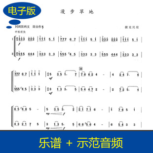【竹笛二重奏】漫步草地竹笛二重奏曲谱 同调竹笛两支送音频B0003