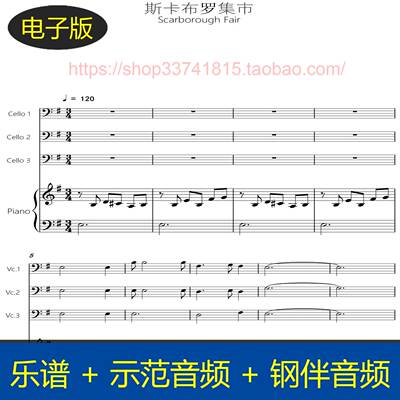 Scarborough Fair斯卡布罗集市 大提琴+钢伴总分谱 示范伴奏音频