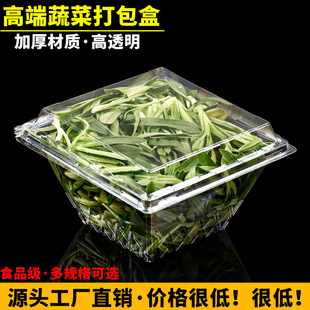 高端蔬菜打包盒一次性花菜叶子包装盒透明塑料食品级净菜加厚盒子
