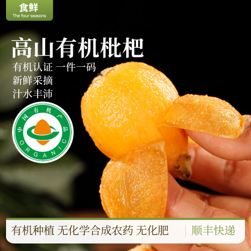 有机枇杷高山有机种植自然生长新鲜采摘时令水果饱满多汁口感清甜