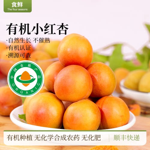有机小红杏自然生长时令水果新鲜采摘新疆伊犁杏子甜糯皮薄肉厚