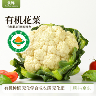 有机花菜新鲜采摘时令有机蔬菜自然生长农场直供脆嫩爽口烹饪食材
