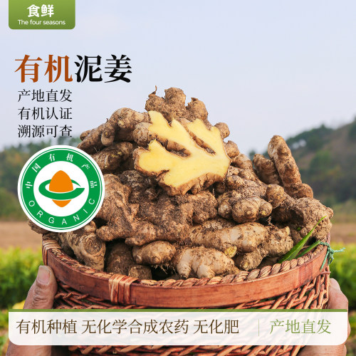云南有机生姜泥姜新鲜蔬菜自然生长带泥发货榨汁厨房调味农产品
