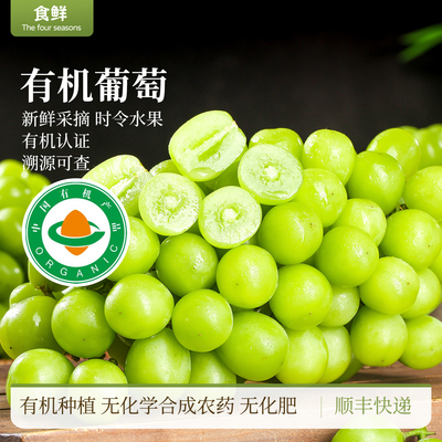 有机葡萄阳光玫瑰新鲜采摘自然生长颗粒饱满多汁时令水果产地直发