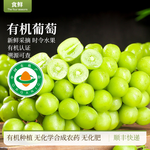 有机葡萄阳光玫瑰新鲜采摘自然生长颗粒饱满多汁时令水果产地直发
