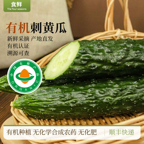 有机刺黄瓜有机种植自然生长新鲜蔬菜安心食材凉拌烹饪沙拉生吃