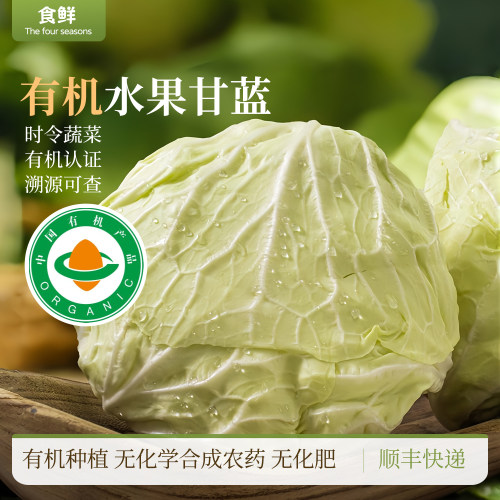 有机水果甘蓝新鲜有机时令蔬菜大头菜卷心菜沙拉凉拌烹饪清脆爽口
