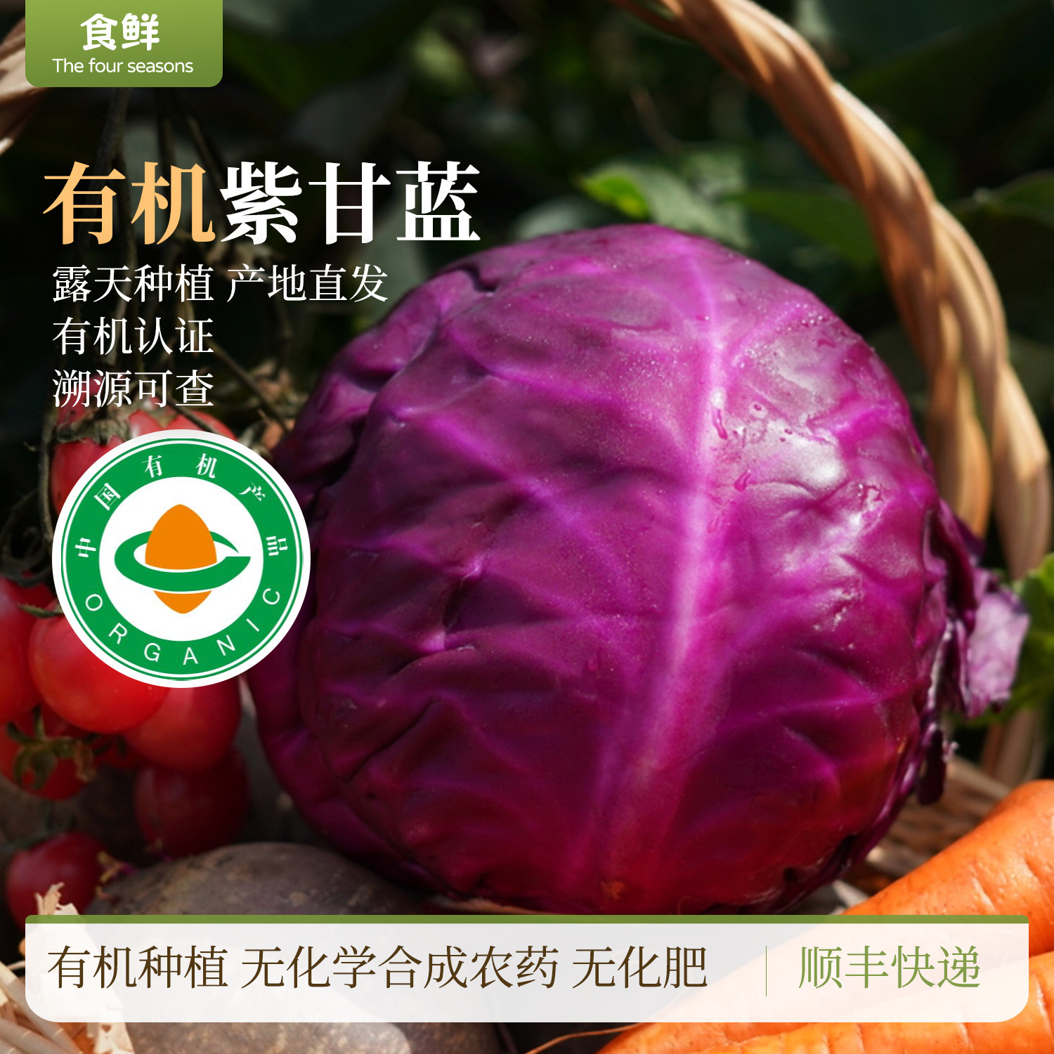 有机紫甘蓝轻食沙拉凉拌