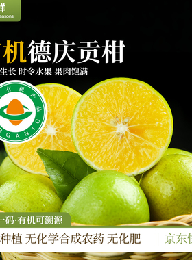 有机贡柑柑橘德庆皇帝柑桔子自然生长果肉饱满细腻时令新鲜水果