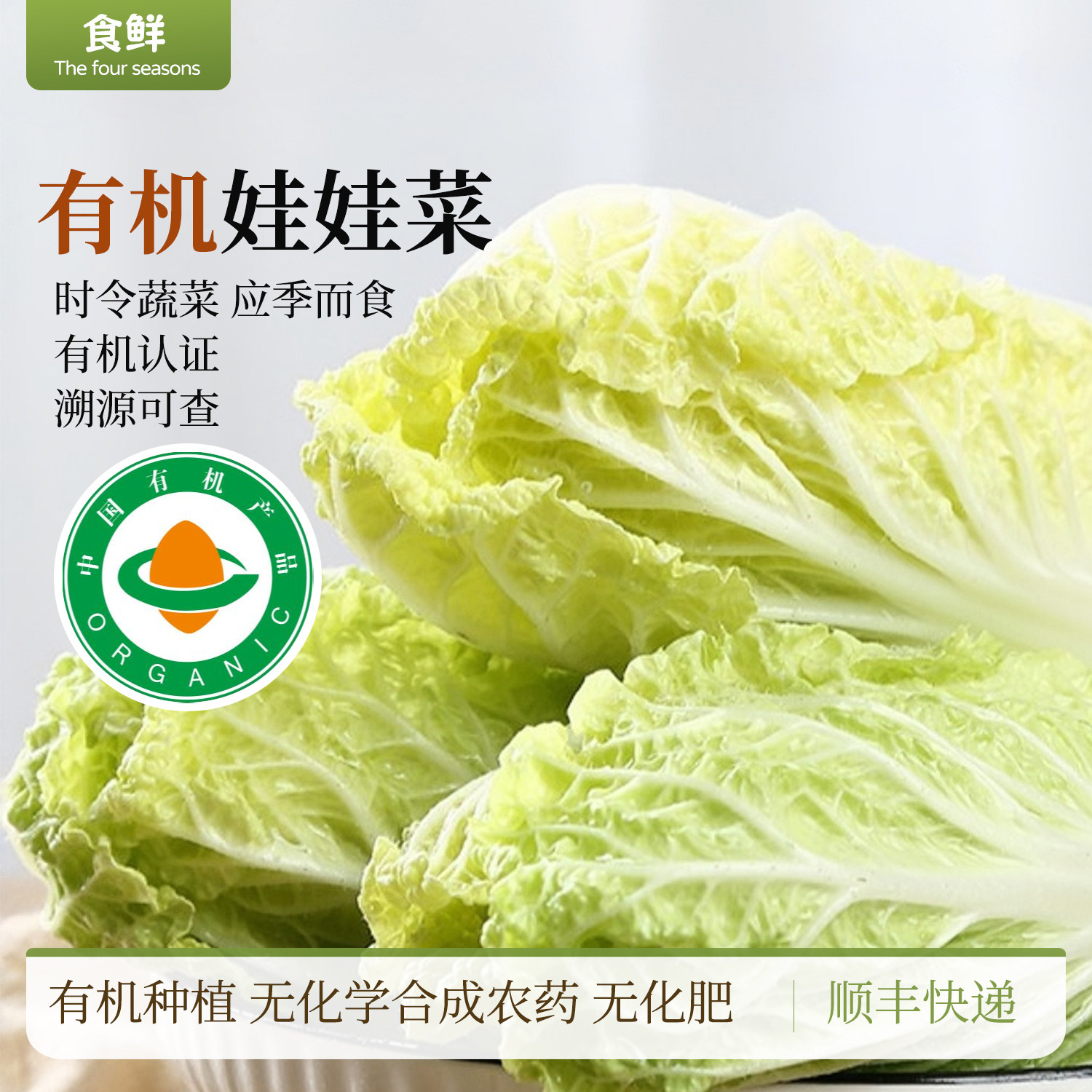 云南有机娃娃菜时令有机蔬菜新鲜青菜小白菜火锅食材辅食顺丰包邮