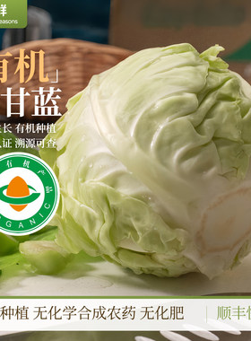 有机绿甘蓝通过有机认证自然成熟