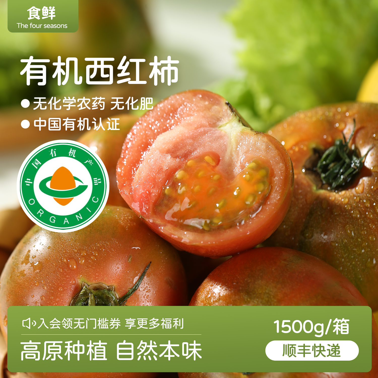 有机西红柿自然成熟高原种植