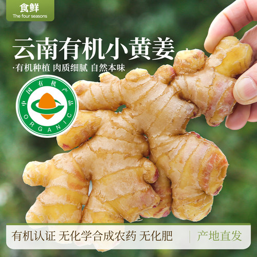 有机小黄姜水洗生姜有机种植新鲜月子姜鲜姜孕妇食用干姜农产品