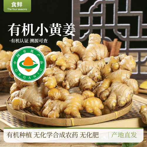 云南有机小黄姜生姜自然生长新鲜月子姜鲜姜孕妇榨汁调味农产品