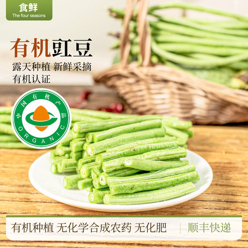 有机豇豆云南露天种植豆角自然生长新鲜采摘时令蔬菜烹饪火锅食材