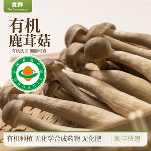 有机鹿茸菇有机菌菇自然生长新鲜菇类非干货烹饪炒菜熬汤火锅食材