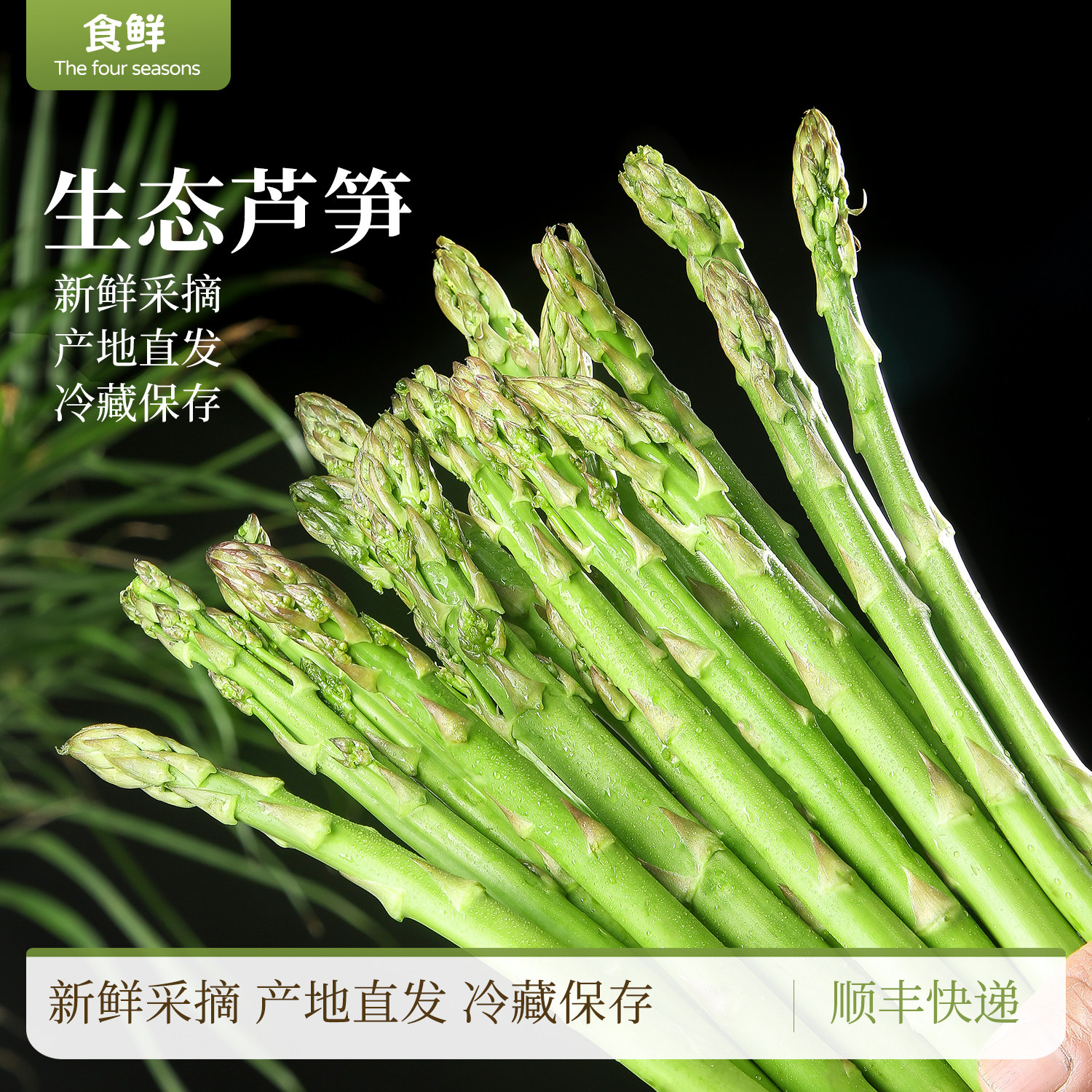 芦笋自然生长时令蔬菜新鲜采摘饱满脆嫩多汁清炒烹饪炖煮产地直发