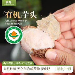 山东有机芋头有机蔬菜毛芋头新鲜粉糯自然成熟蒸煮食用宝宝辅食