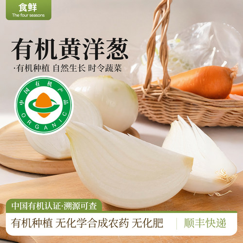 有机洋葱新鲜有机蔬菜凉拌烹饪生吃多规格顺丰包邮黄洋葱头圆葱