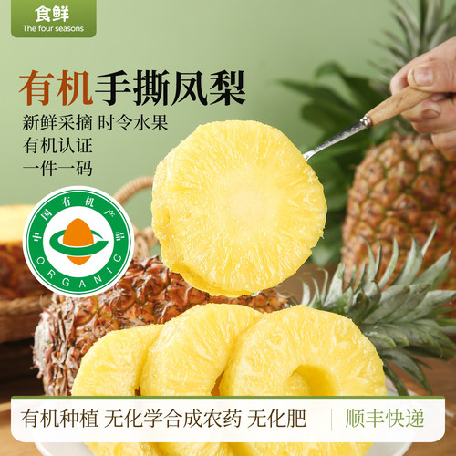 有机凤梨云南露天种植手撕凤梨自然熟新鲜采摘时令水果饱满多汁