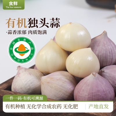 云南有机独头蒜大蒜自然生长新鲜有机蔬菜干蒜烹饪凉拌调味农产品
