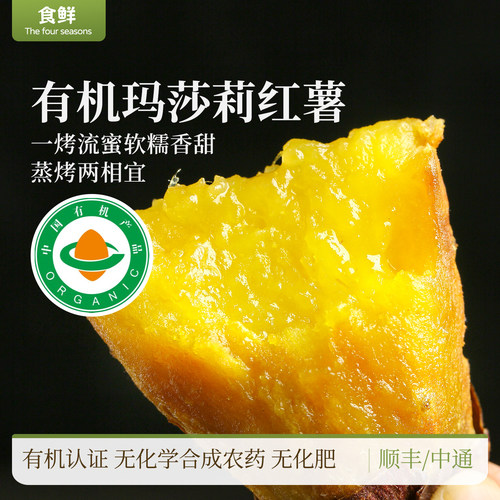 有机玛莎莉红薯黄心番薯有机种植自然成熟蒸煮烤地瓜软糯细腻香甜