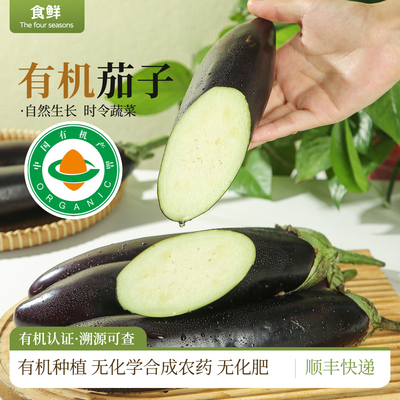 有机茄子新鲜采摘紫长茄有机种植自然生长时令蔬菜产地直发烹饪