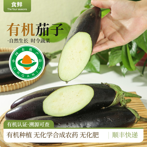 有机茄子新鲜采摘紫长茄有机种植自然生长时令蔬菜产地直发烹饪
