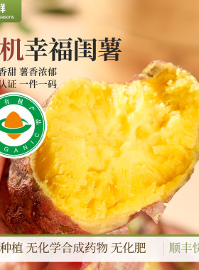 有机板栗薯玛莎莉高系品种自然熟红薯辅食皮薄肉厚粉糯香甜黄番薯