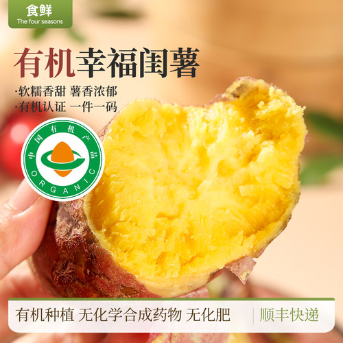有机板栗薯玛莎莉高系品种自然熟红薯辅食皮薄肉厚粉糯香甜黄番薯