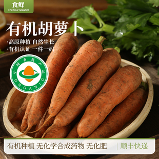 有机胡萝卜云南良道脆嫩爽口细长萝卜新鲜自然生长生吃沙拉放心吃