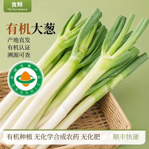 有机大葱自然生长有机种植新鲜蔬菜葱味浓郁产地直发去腥提鲜炒菜