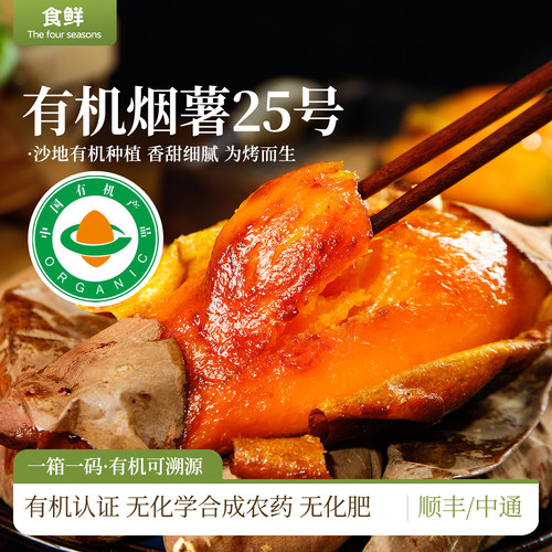 沙地种植有机烟薯25号软糯香甜