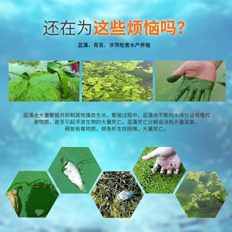 两件包邮泳池小区景观鱼池水池水处理净水剂 除藻剂 灭藻
