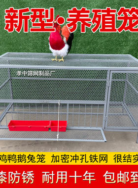新型养殖笼子冲孔网加密可养鸡鸭鹅鸽子兔子室外鸡笼防锈烤漆铁笼