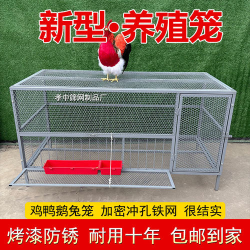 新型养殖笼子冲孔网加密可养鸡鸭鹅鸽子兔子室外鸡笼防锈烤漆铁笼
