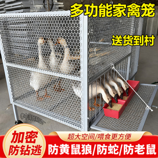 养殖鸡笼子家用室外大号镀锌户外防雨专用养殖养鸭笼防黄鼠狼鸡笼