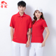 T恤夏中老年佳木斯广场舞团体服 男女半袖 晋冠纯色短袖 运动服套装