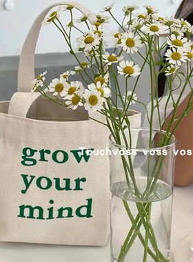 韩国东大门grow your mind字母帆布手提包ins百搭小包学生零食袋