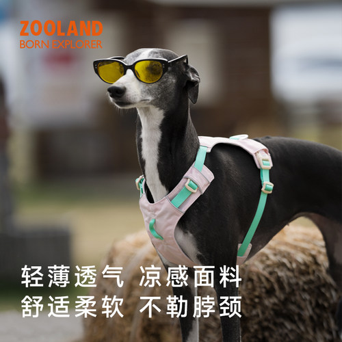 ZOOLAND狗狗防爆冲工字牵引绳