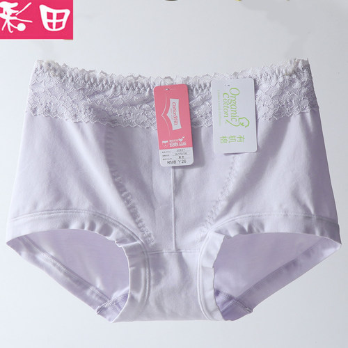 彩田中高腰纯棉收腹提臀内裤女