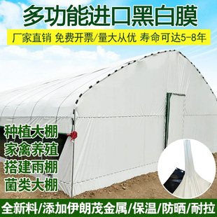 进口抗老化加厚黑白膜大棚塑料薄膜家禽养殖仓库厂房用反光隔热膜