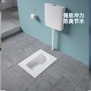 水箱防臭便池盆家用厕所墙排式 帝王洁具SP001蹲便器蹲坑式 大便器