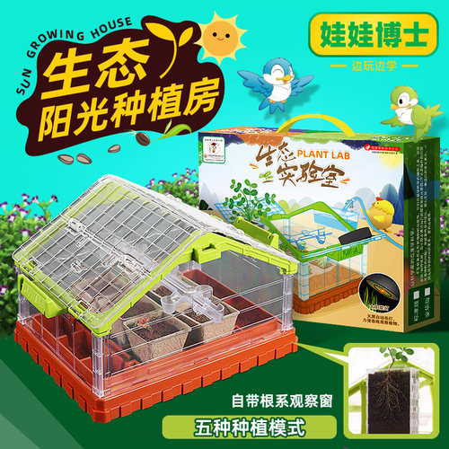 万物生长盒子阳光种植房植物