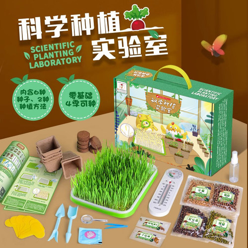 【儿童礼物】让孩子体验种植乐趣