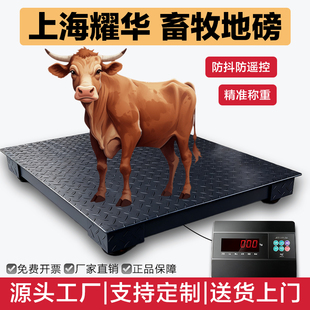 上海耀华地磅电子秤猪牛养殖场带围栏小型地磅称牛加厚地磅秤直销