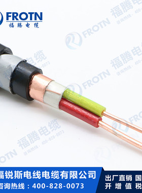 控制电缆ZA-KVVP2-22-2*0.5/0.75/1/1.5/2.5/4/6DJVVP2/22