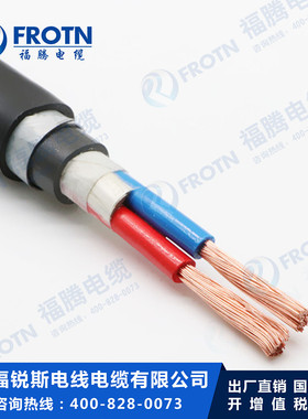 软芯铠装电缆ZR-KVVR22 RVV22 VVR22-2*0.75/1/1.5/2.5/4/6/10/16